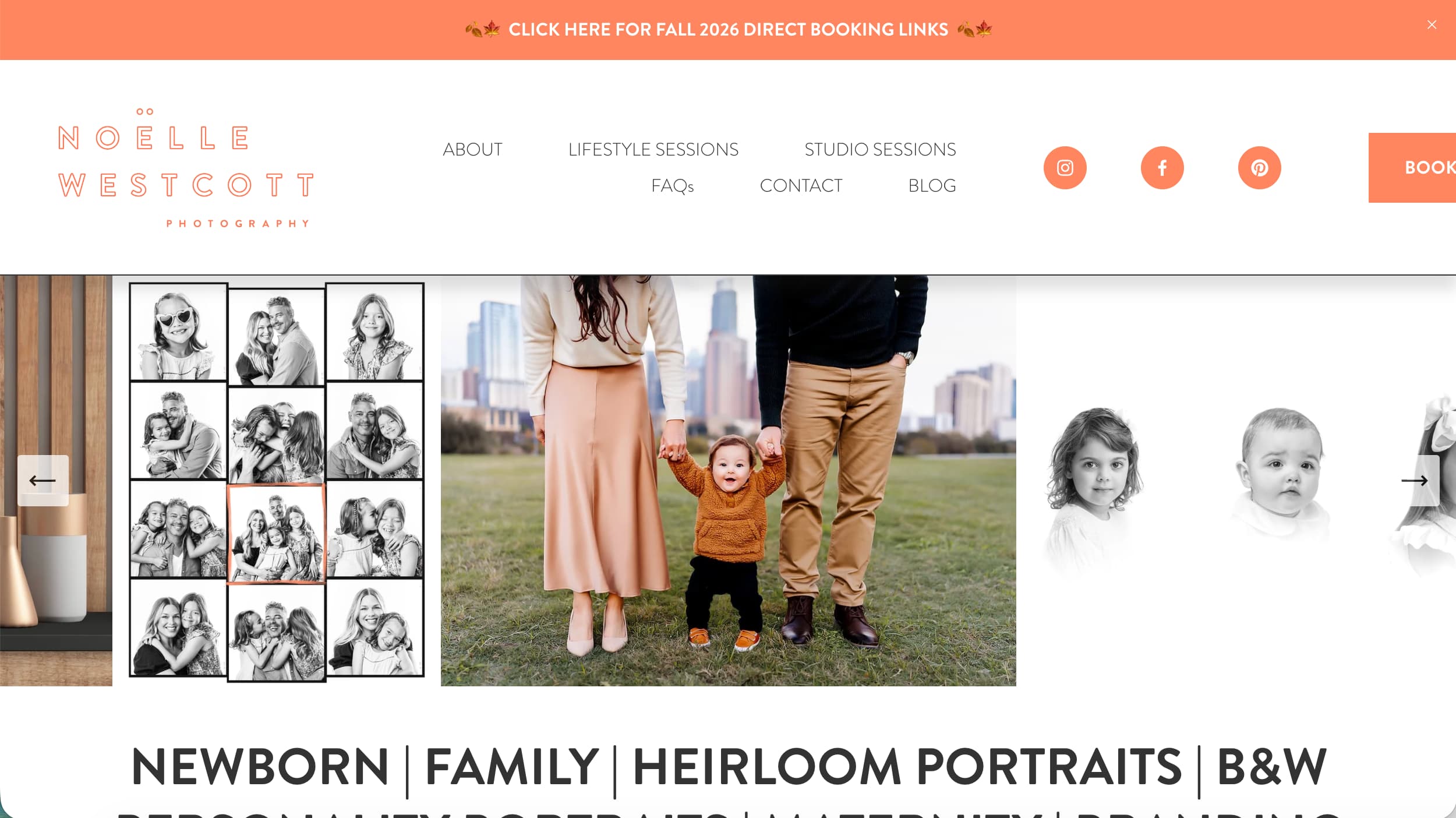 Noelle Westcott Photography newborn photographer website example