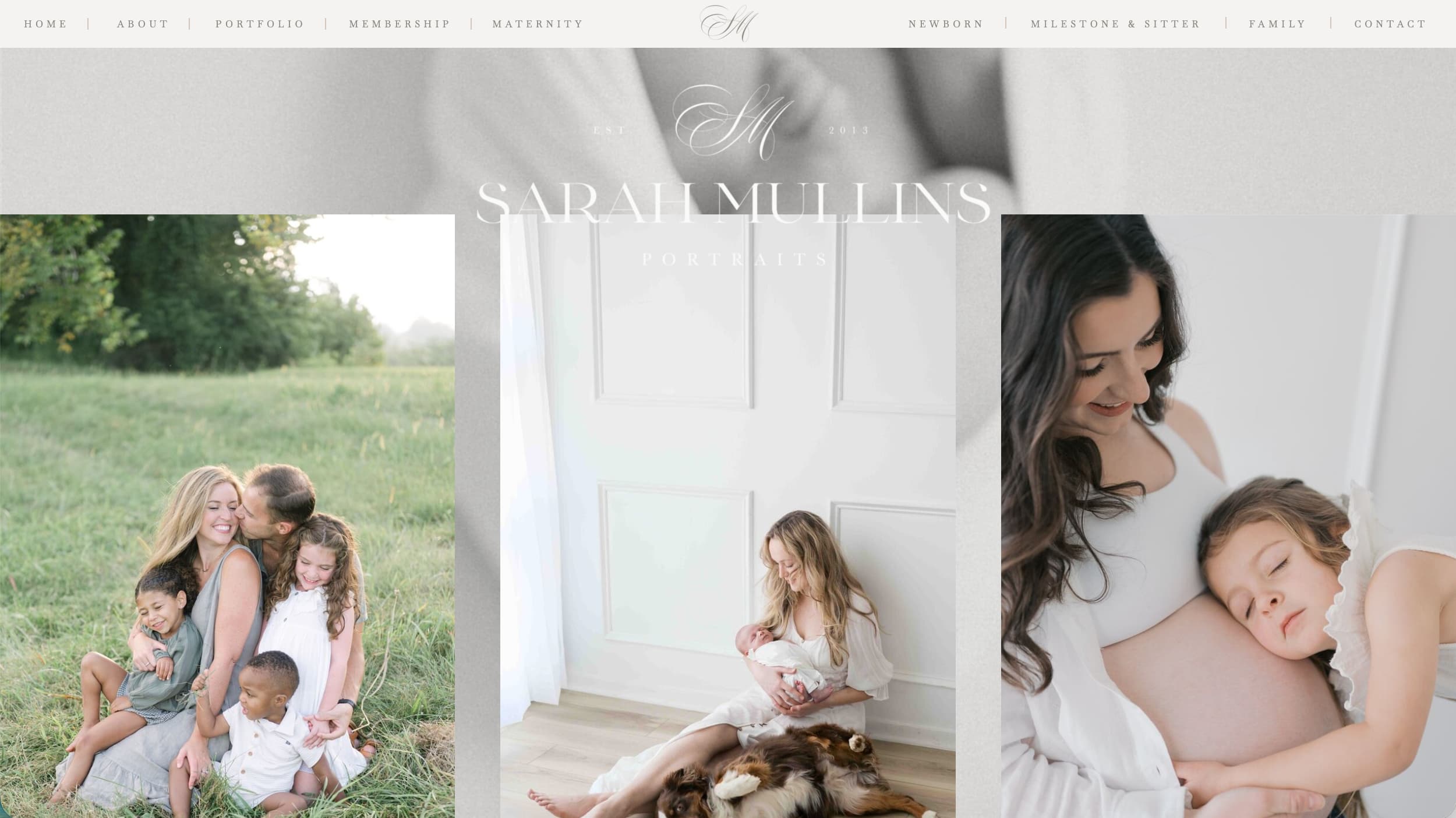 Sarah Mullins Portraits newborn photography website example