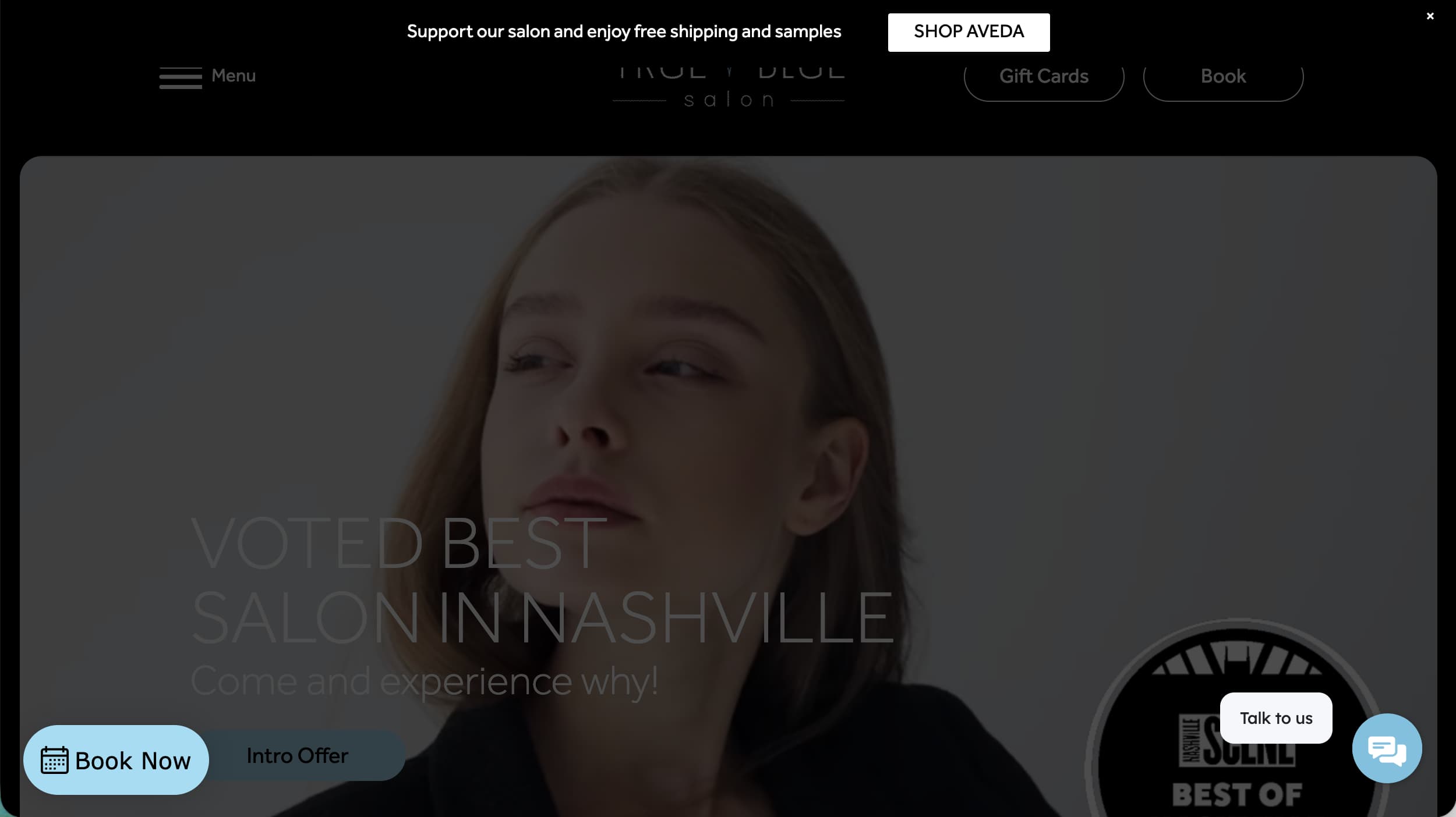 True Blue Salon website homepage example